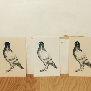 Pigeon #mimeograph #printmaking #版画 #イラスト #XBヤスリ #コピック還元法 #illustration