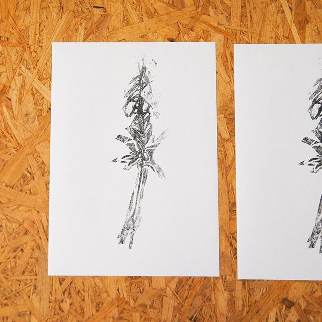 "Weed"#peopleofprint #artistsofinstagram #mimeograph #mimeograph #printmakimg #tomokokanzaki #fileprateprocess #weed #謄写版 #ガリ版